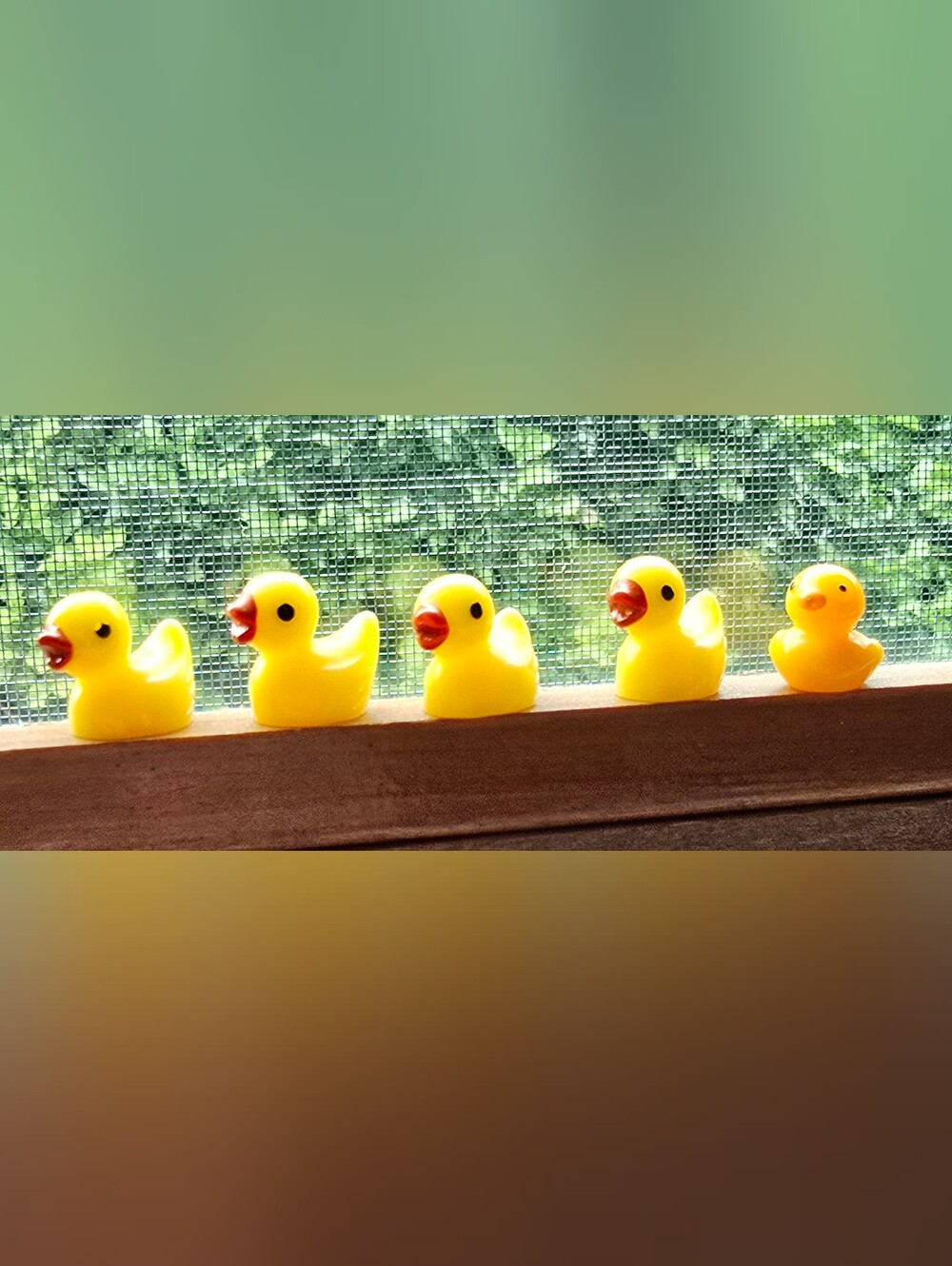5 Little Duckies Minature Collector Press Drawer